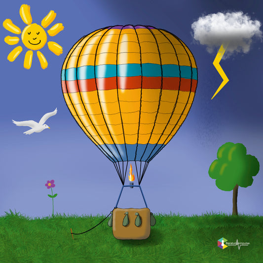 Coaching Plane Balloonfahrt