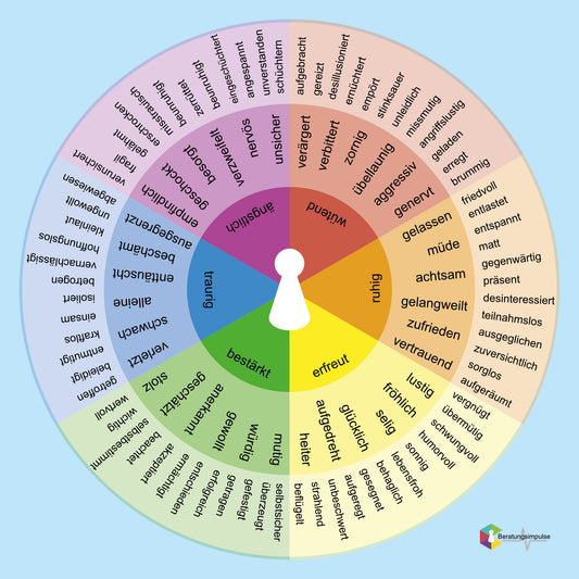 Coaching Plane Das Gefühlsrad
